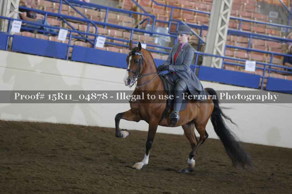 Proof 15R11_04878