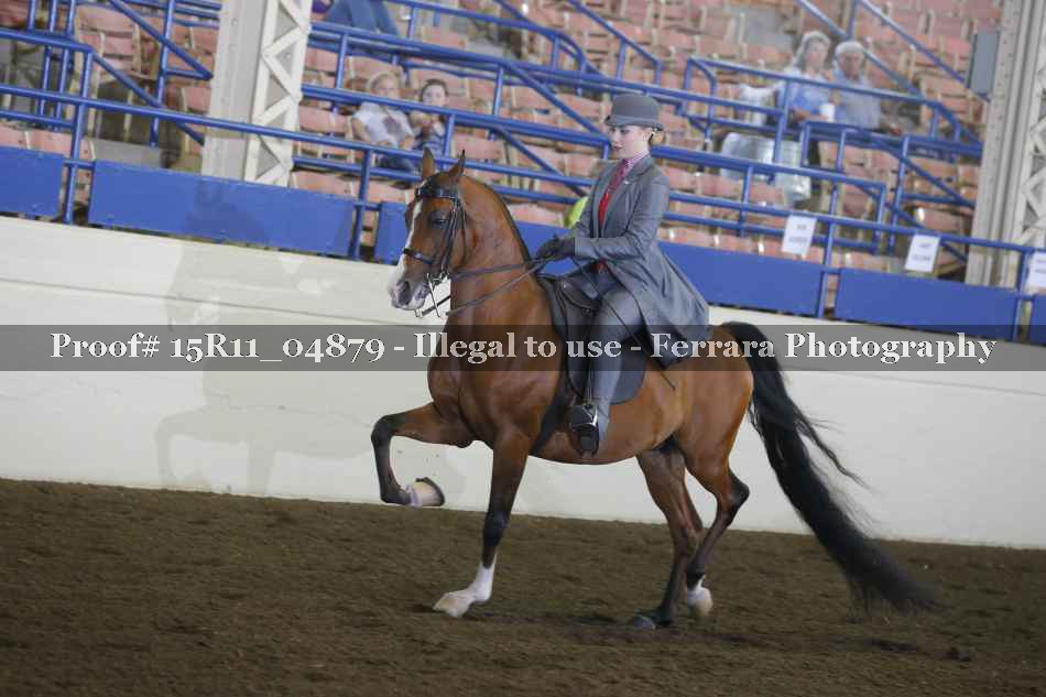 Proof 15R11_04879