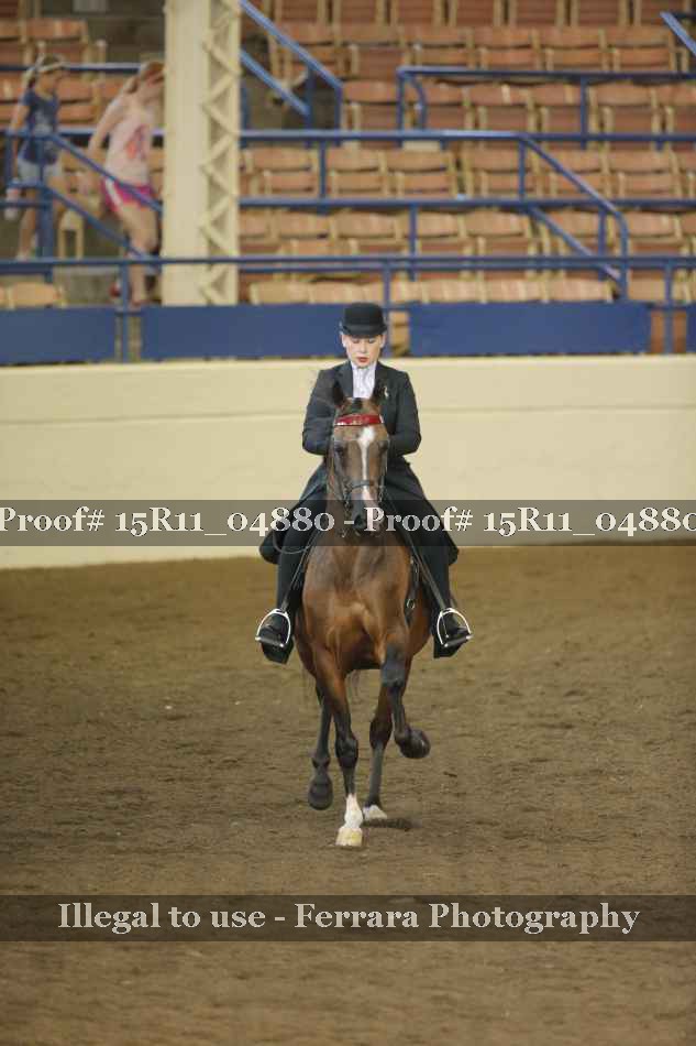 Proof 15R11_04880