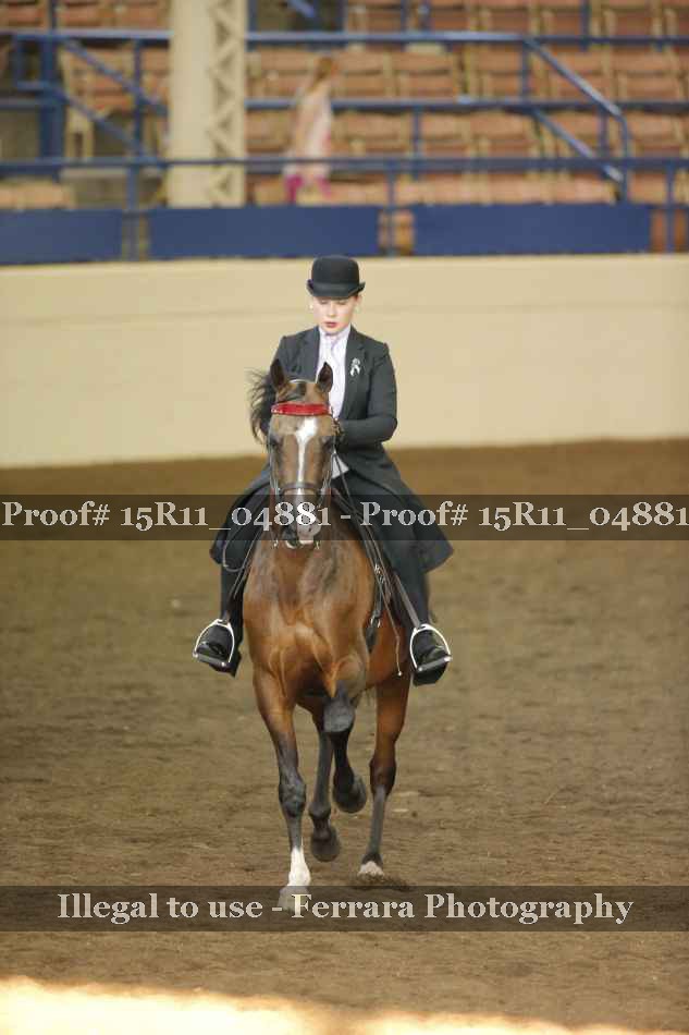 Proof 15R11_04881