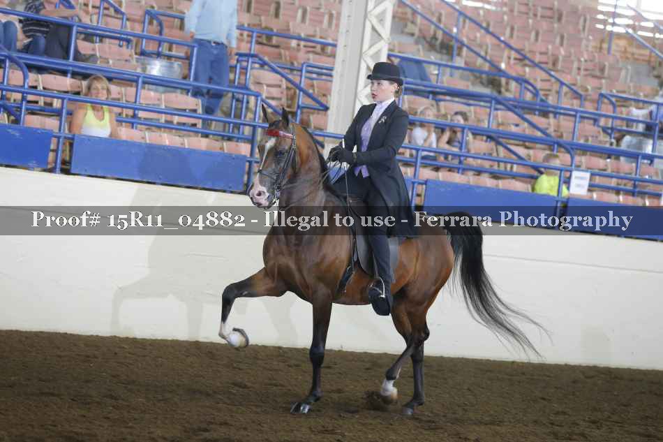 Proof 15R11_04882