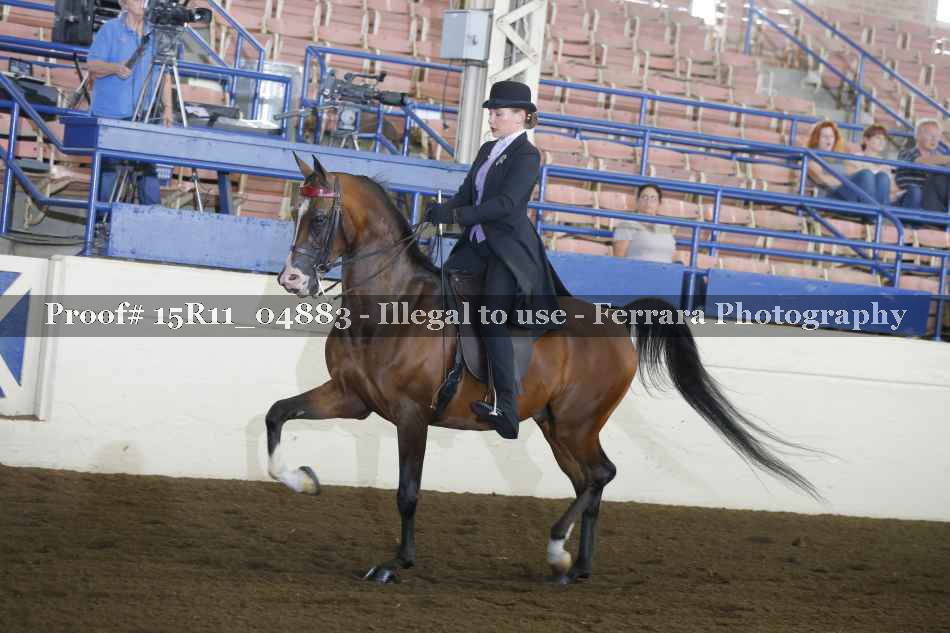 Proof 15R11_04883