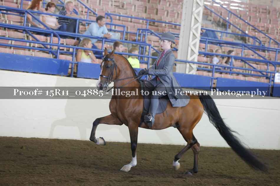 Proof 15R11_04885
