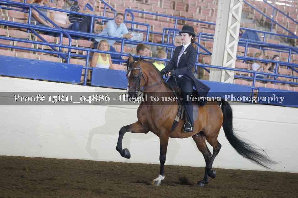 Proof 15R11_04886