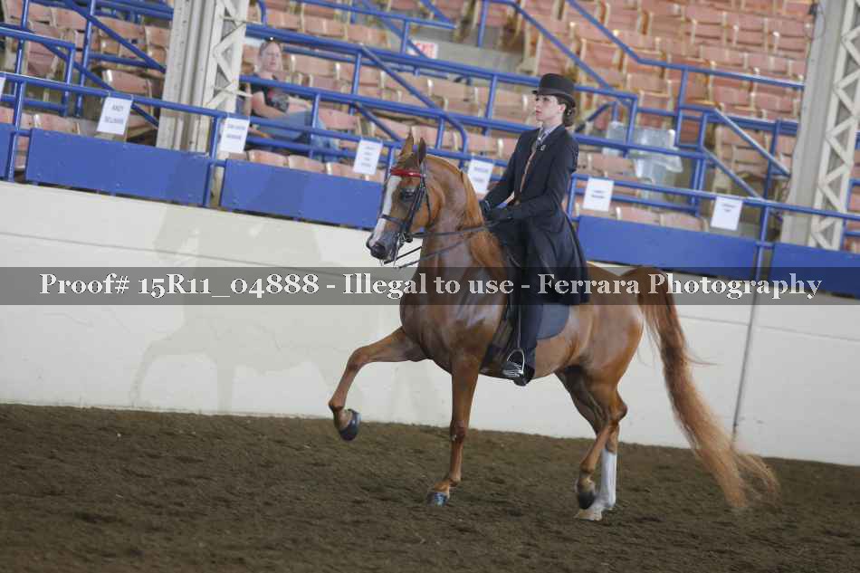 Proof 15R11_04888