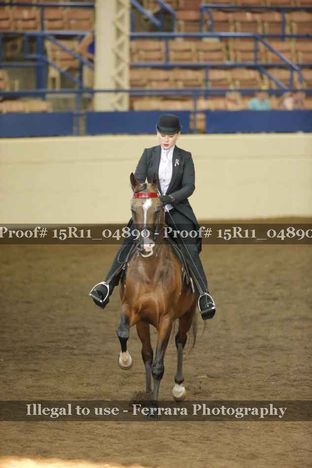 Proof 15R11_04890