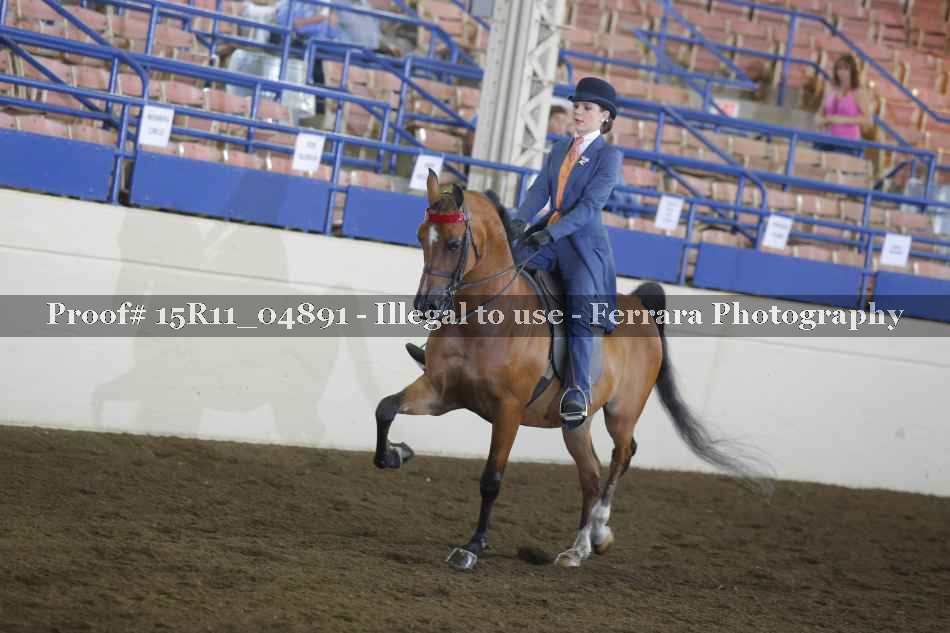 Proof 15R11_04891