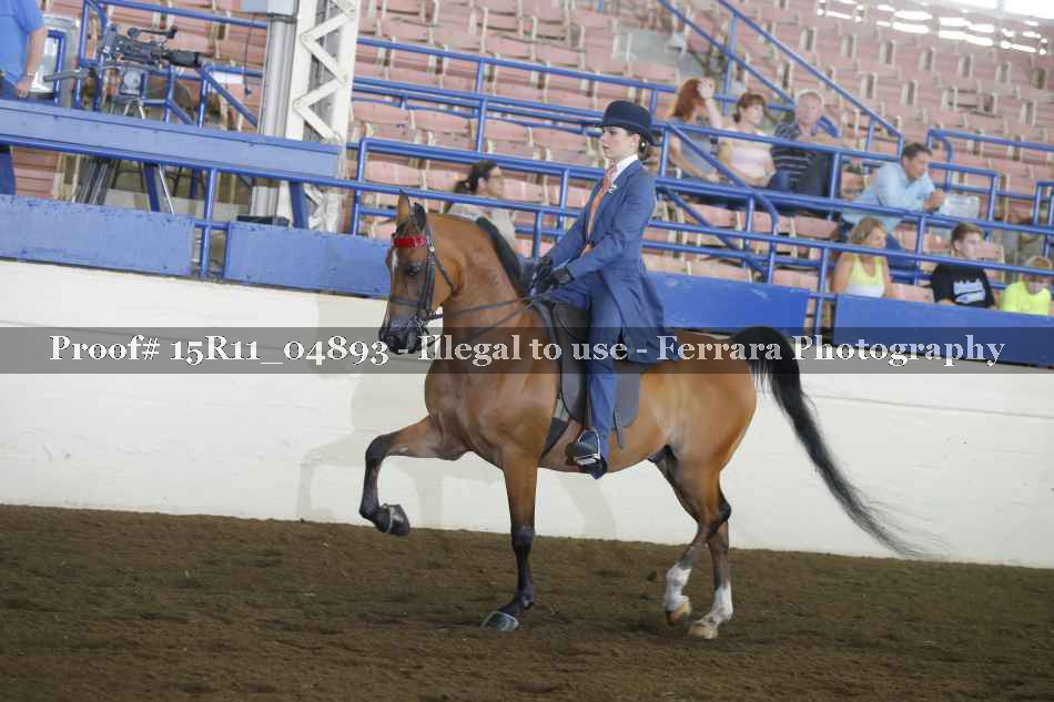 Proof 15R11_04893