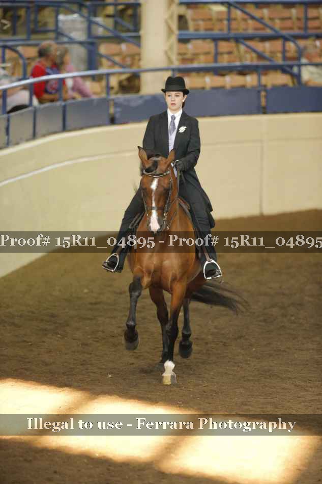 Proof 15R11_04895