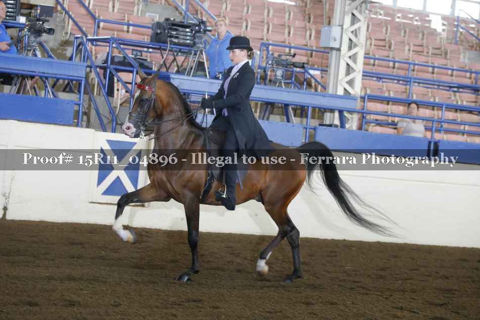 Proof 15R11_04896