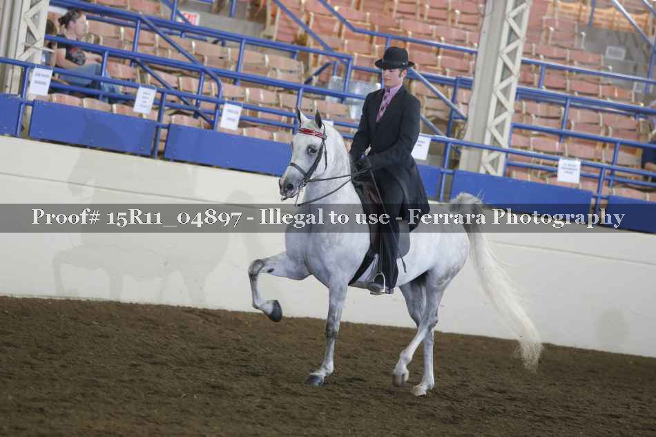 Proof 15R11_04897