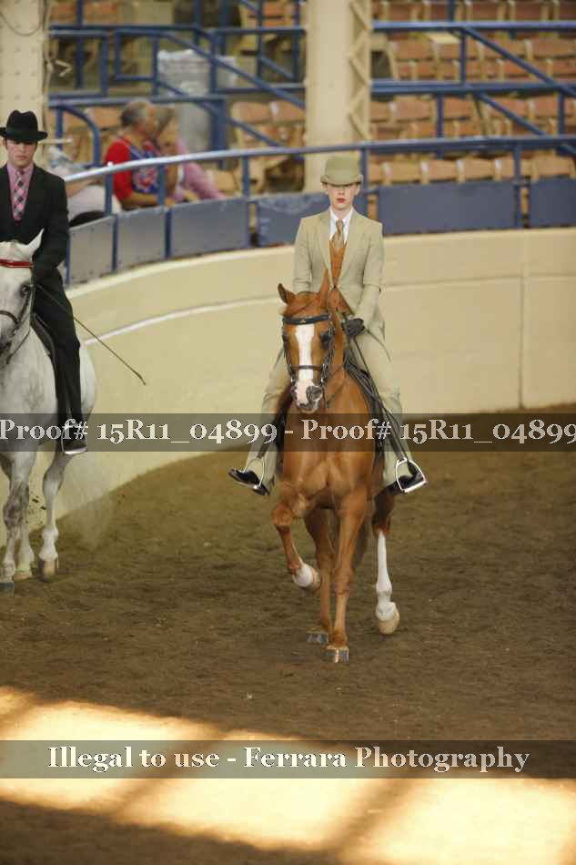 Proof 15R11_04899