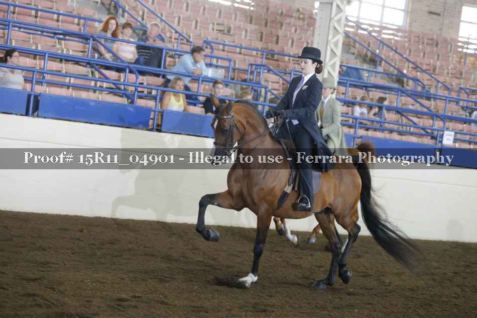 Proof 15R11_04901