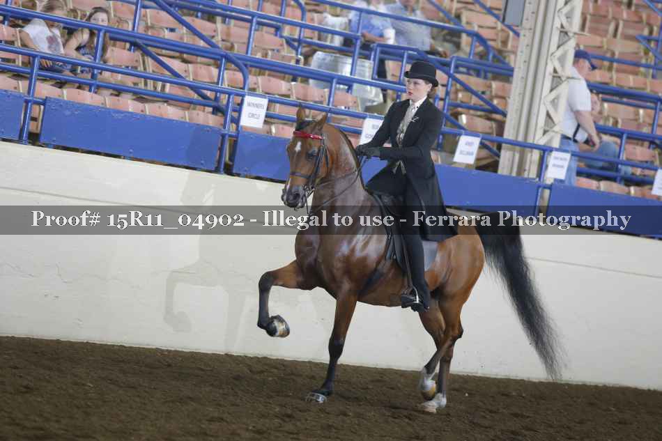 Proof 15R11_04902