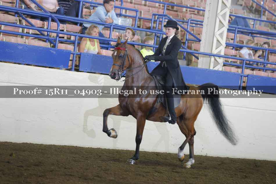 Proof 15R11_04903