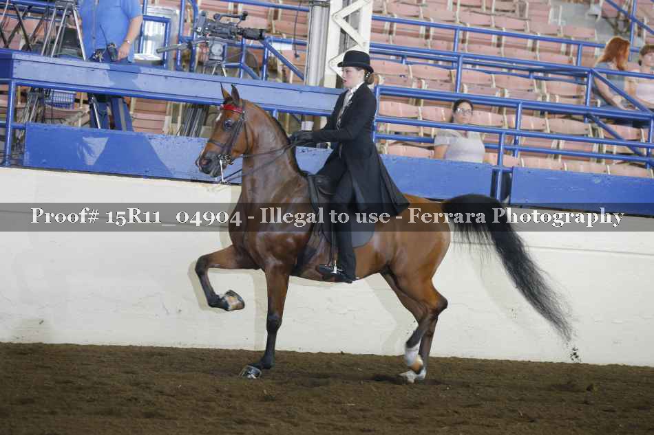Proof 15R11_04904