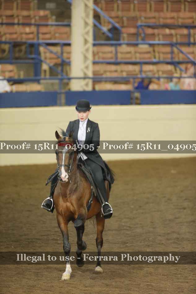 Proof 15R11_04905