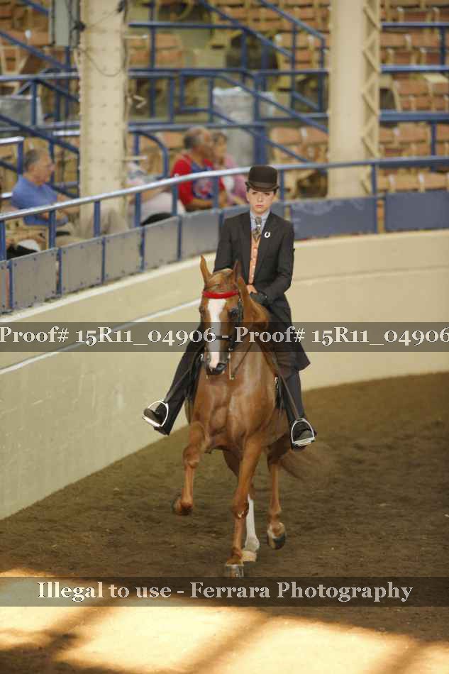 Proof 15R11_04906