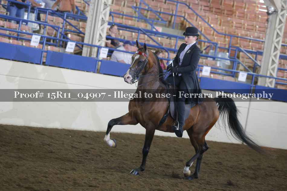 Proof 15R11_04907