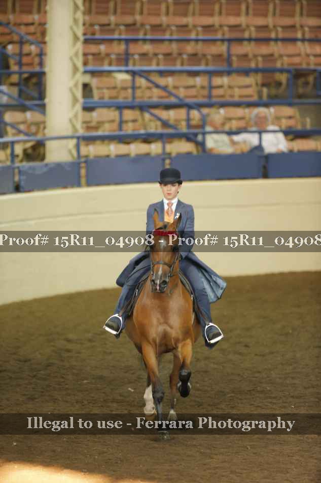 Proof 15R11_04908