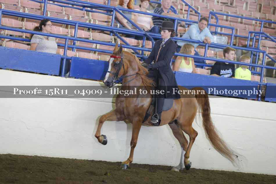 Proof 15R11_04909