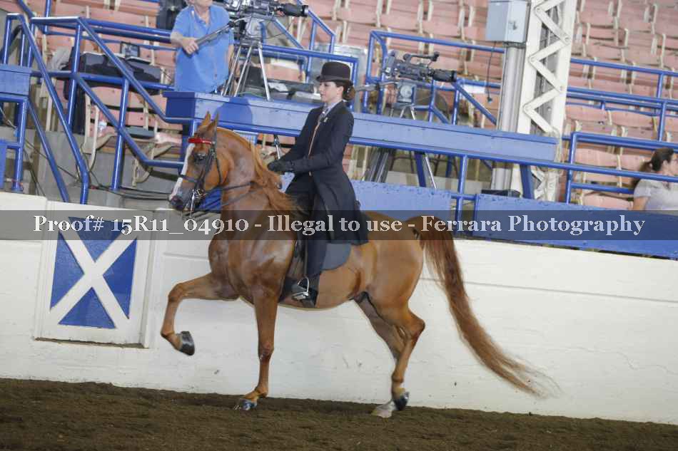 Proof 15R11_04910