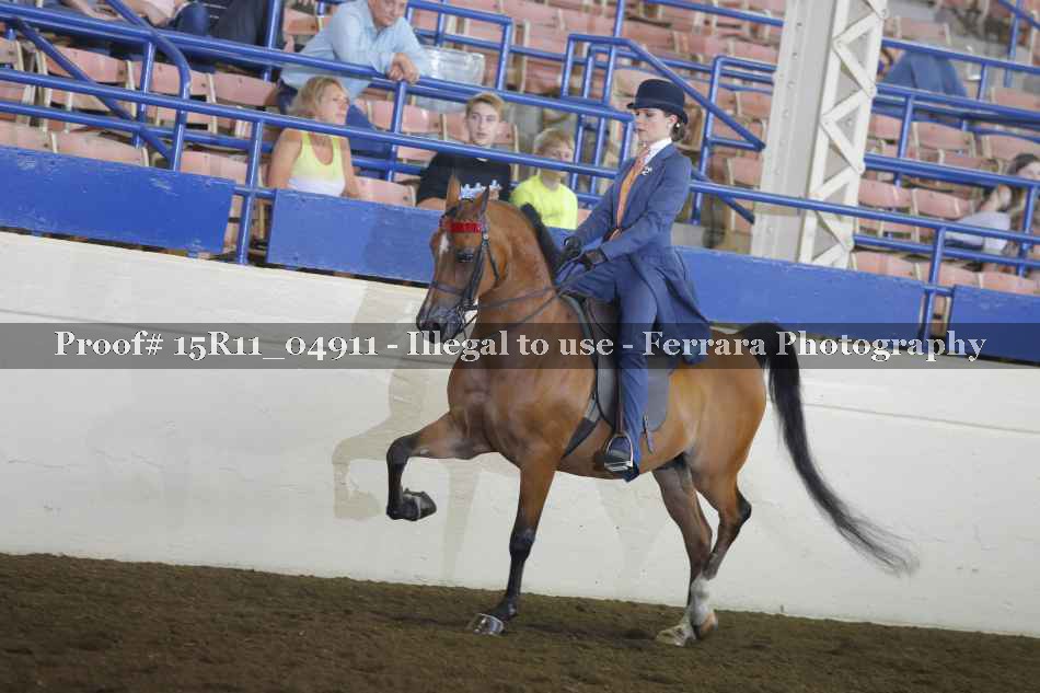 Proof 15R11_04911