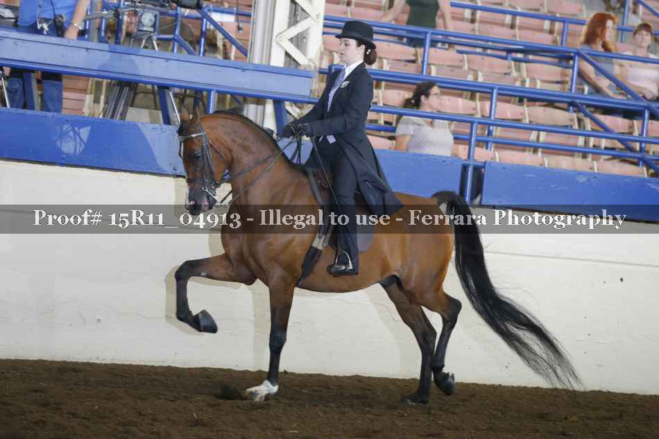 Proof 15R11_04913