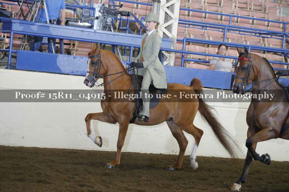Proof 15R11_04915