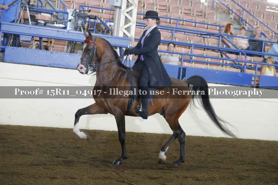 Proof 15R11_04917