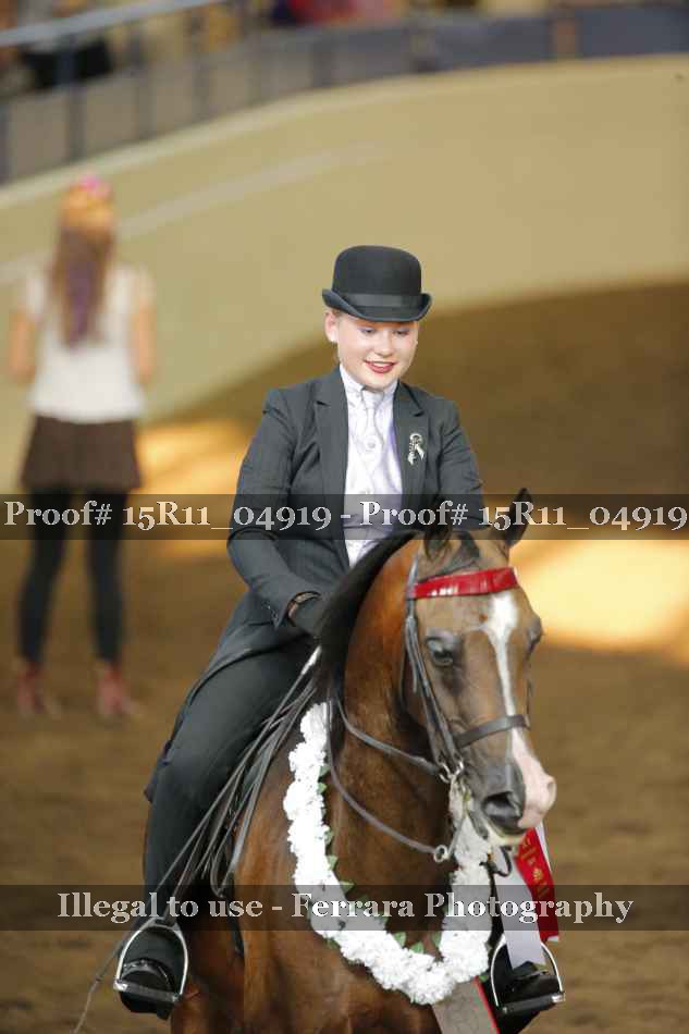 Proof 15R11_04919