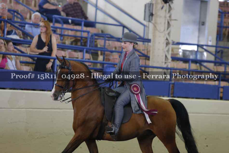 Proof 15R11_04928