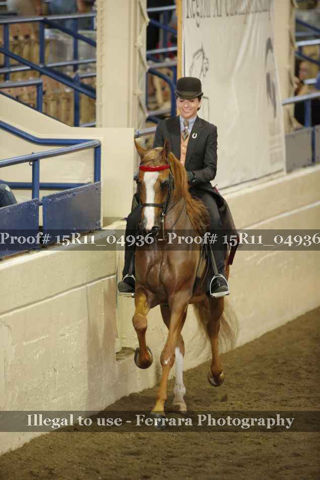 Proof 15R11_04936