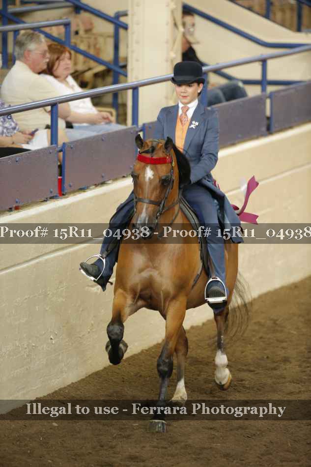 Proof 15R11_04938