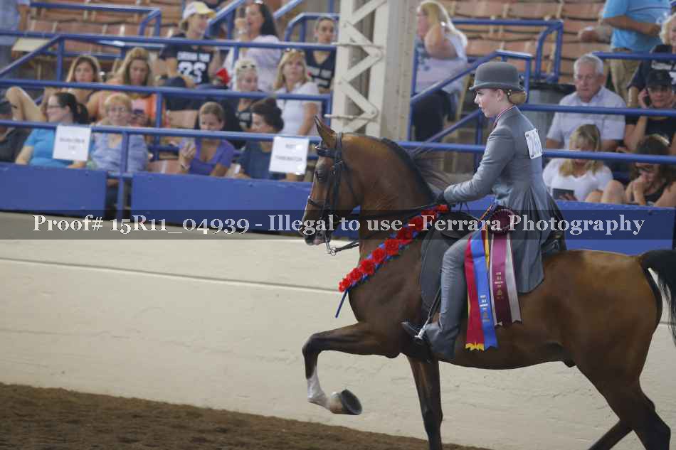 Proof 15R11_04939