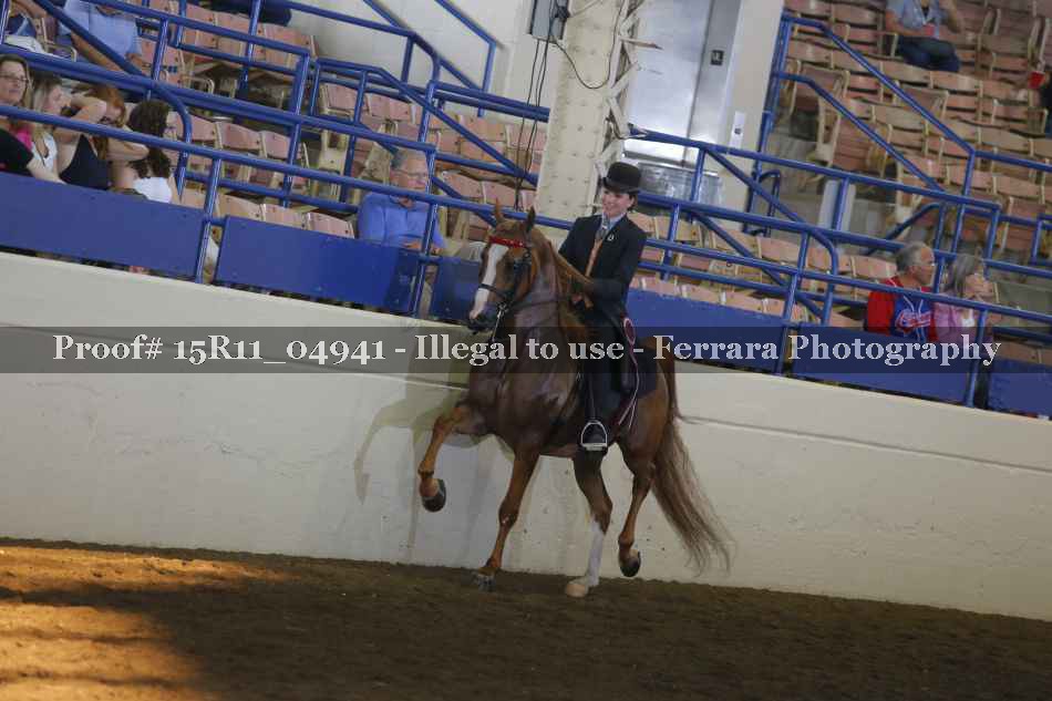 Proof 15R11_04941