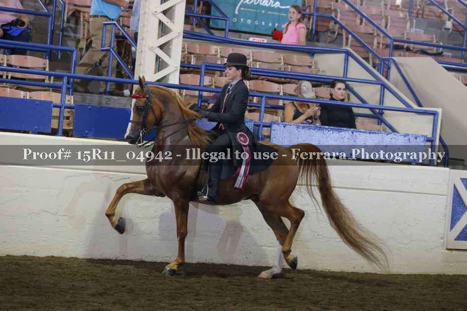 Proof 15R11_04942