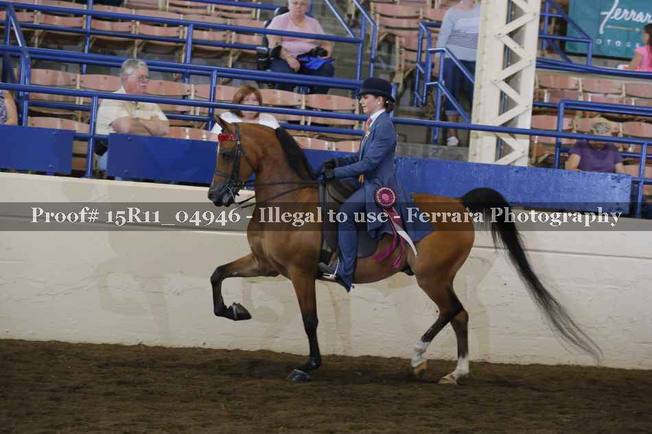 Proof 15R11_04946
