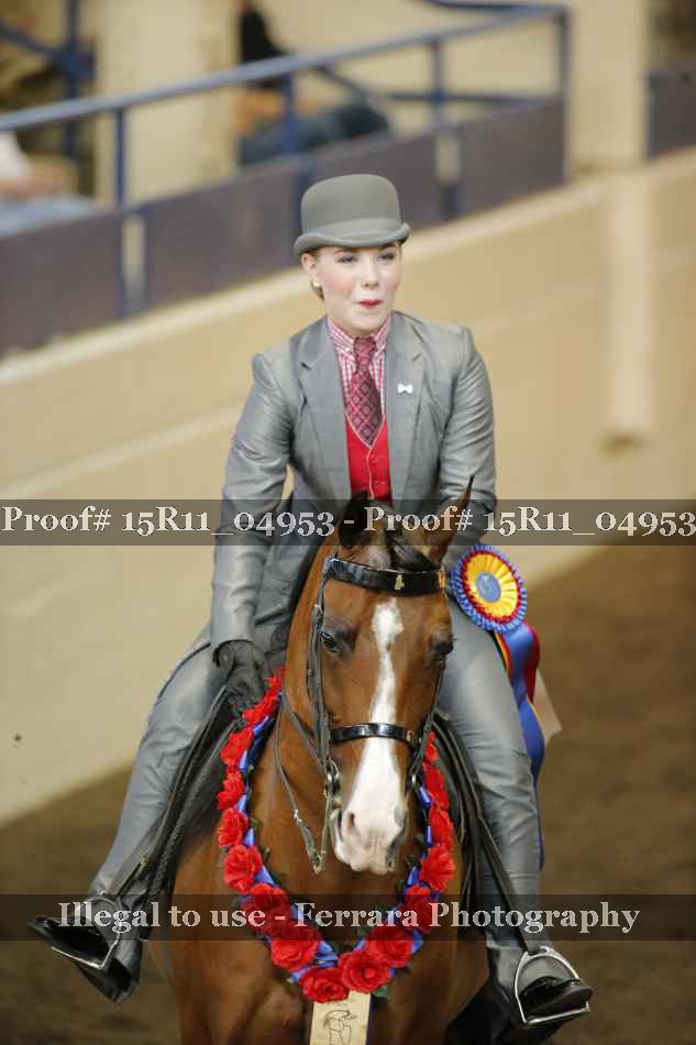 Proof 15R11_04953
