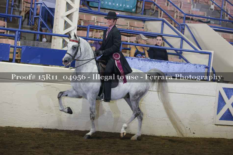 Proof 15R11_04956