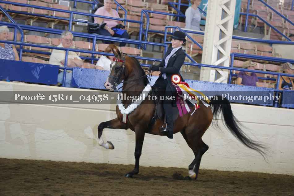 Proof 15R11_04958