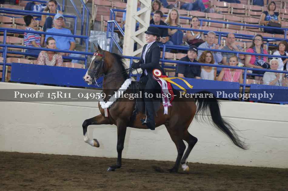 Proof 15R11_04959