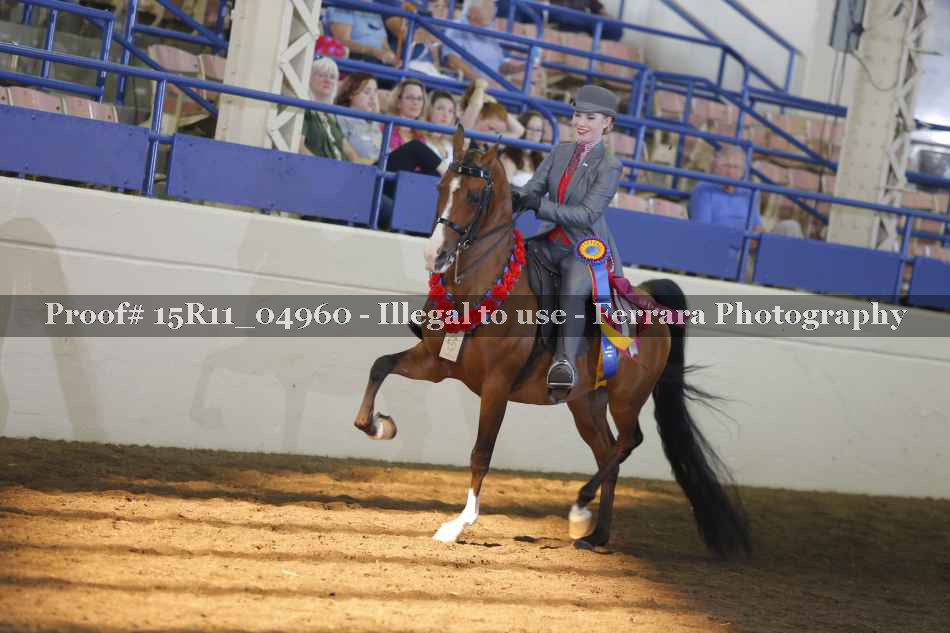 Proof 15R11_04960