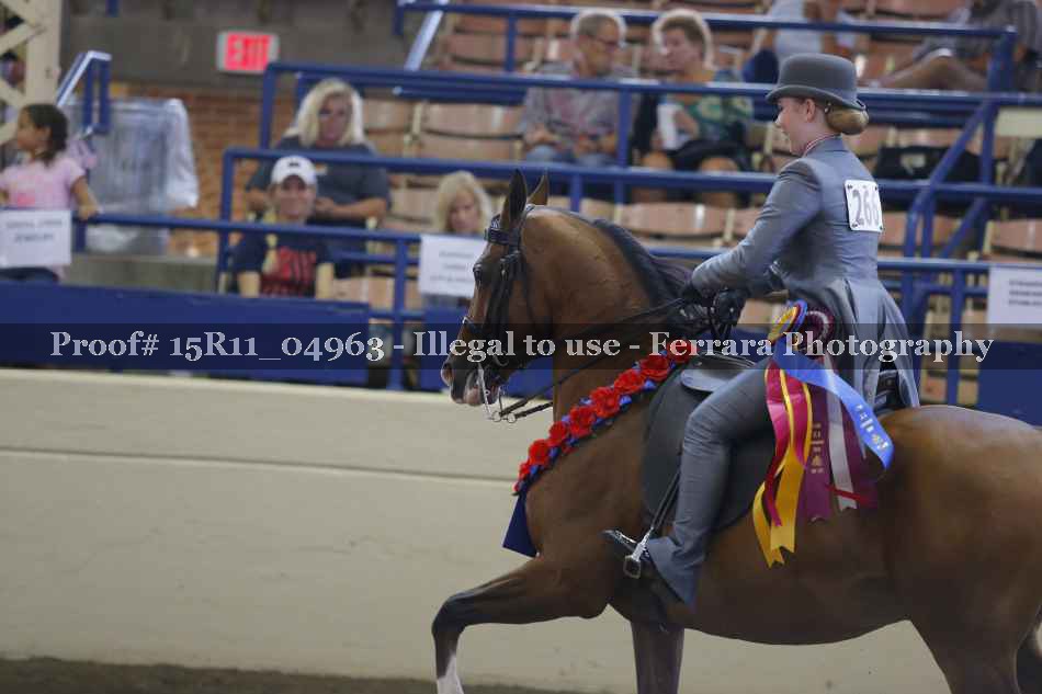 Proof 15R11_04963