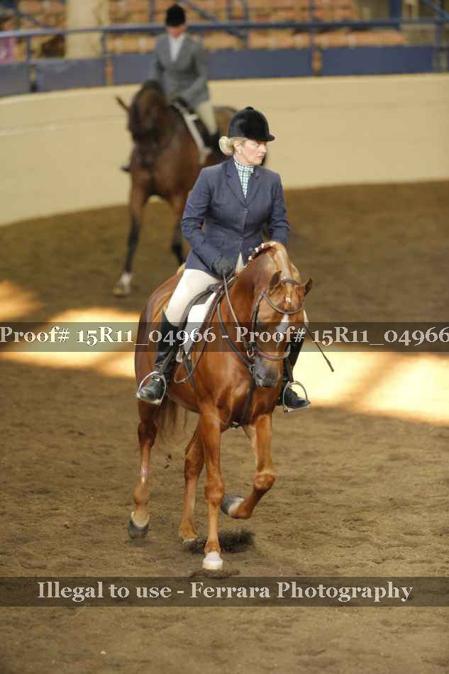 Proof 15R11_04966