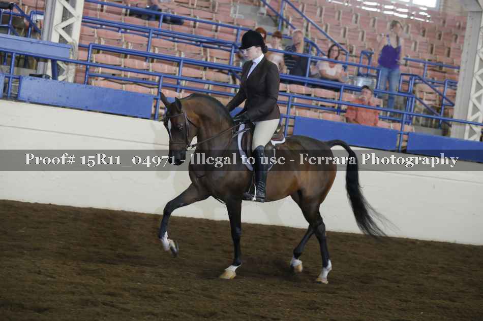 Proof 15R11_04971