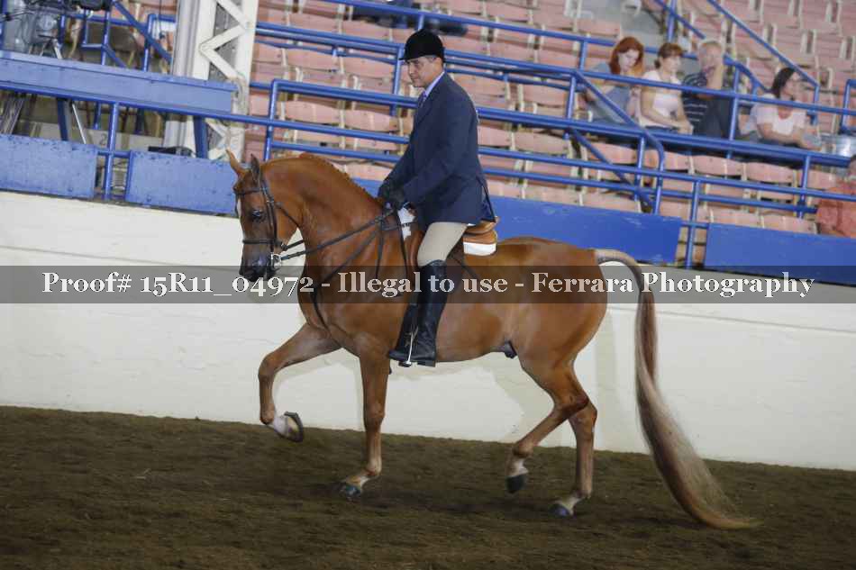 Proof 15R11_04972