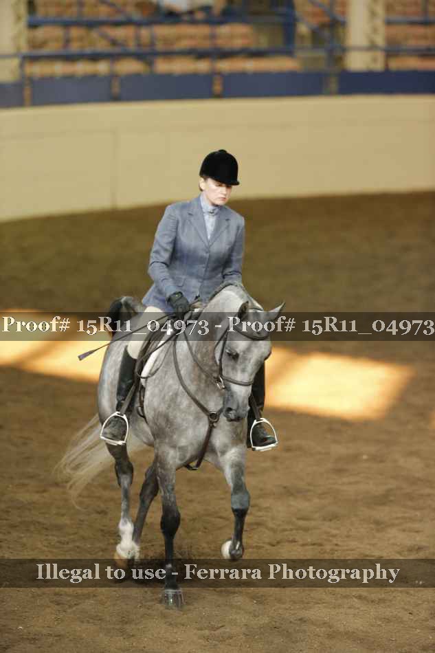 Proof 15R11_04973
