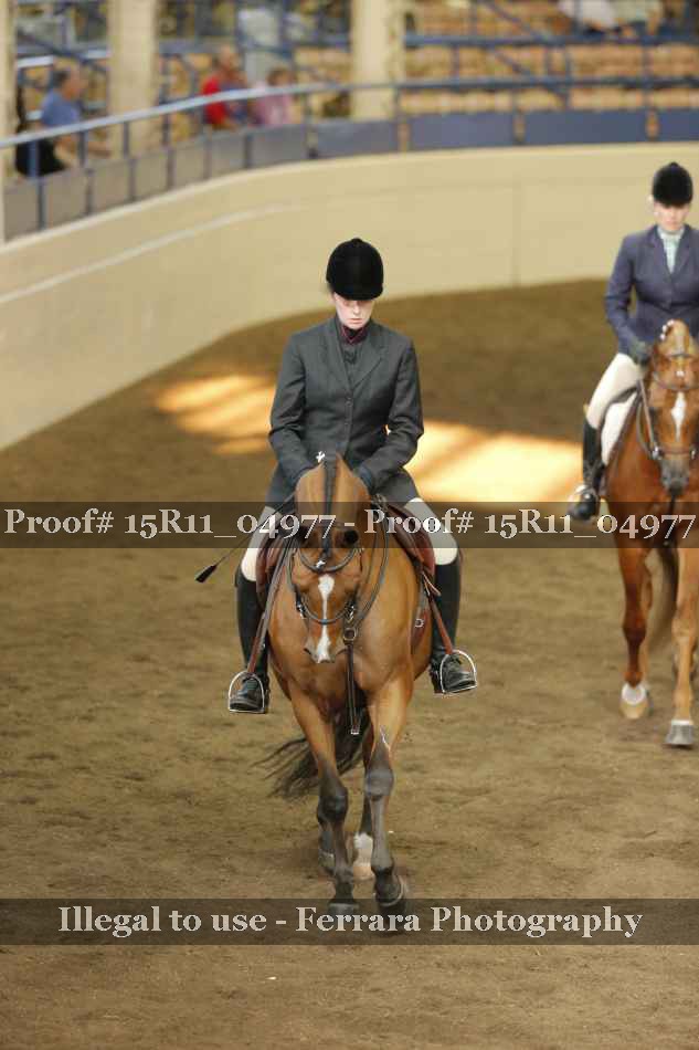 Proof 15R11_04977