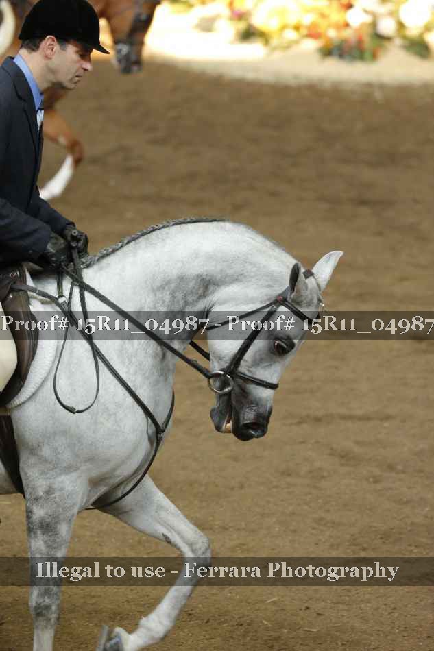 Proof 15R11_04987